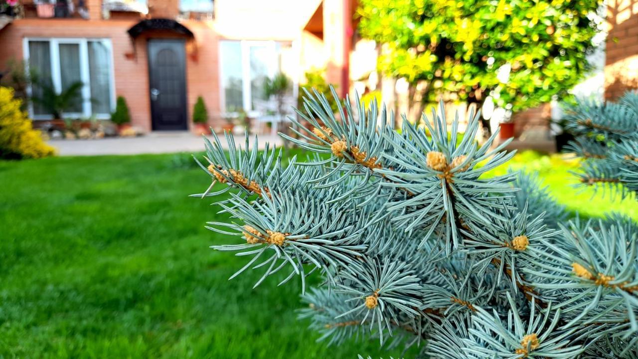 Green Garden Tbilisi Exteriér fotografie