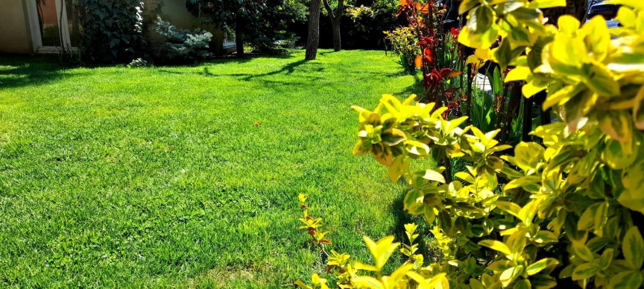 Green Garden Tbilisi Exteriér fotografie