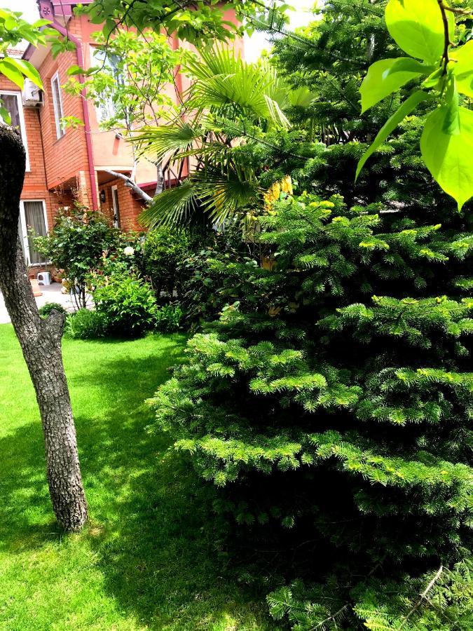 Green Garden Tbilisi Exteriér fotografie